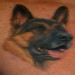 Tattoos - German Shepherd - 20688